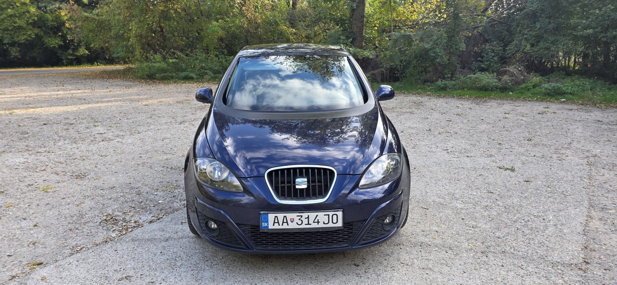 
								Seat Altea full									