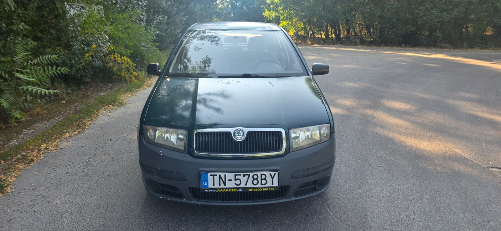 
								Škoda Fabia full									
