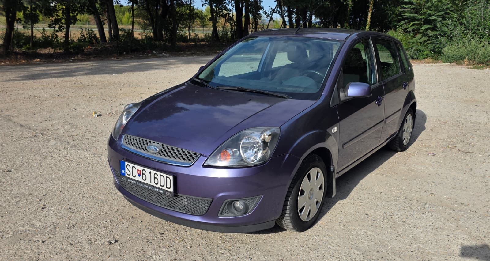 
								Ford Fiesta full									