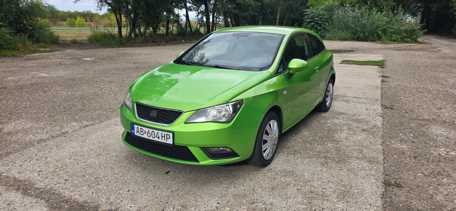 
								Seat Ibiza full									