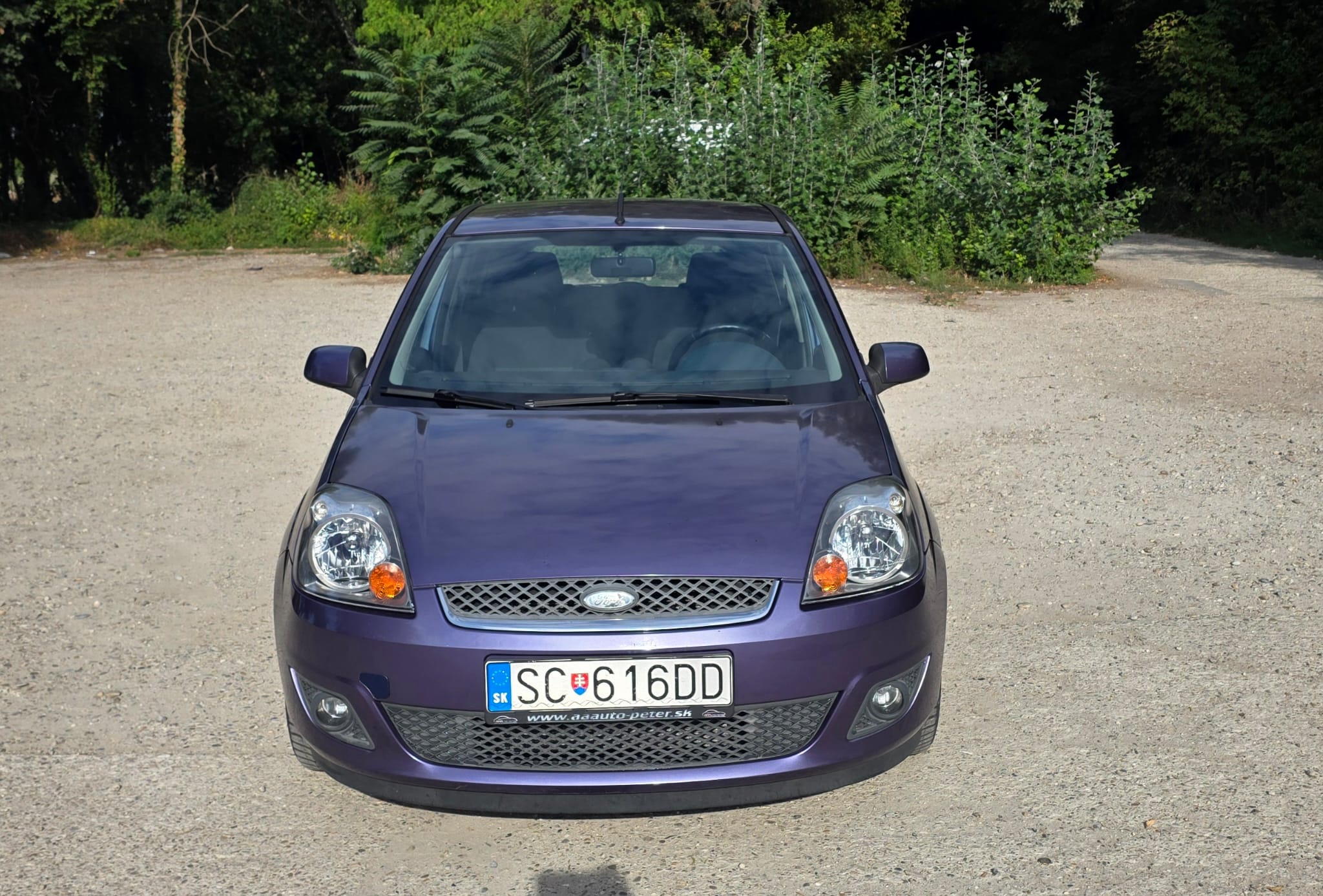 
								Ford Fiesta full									