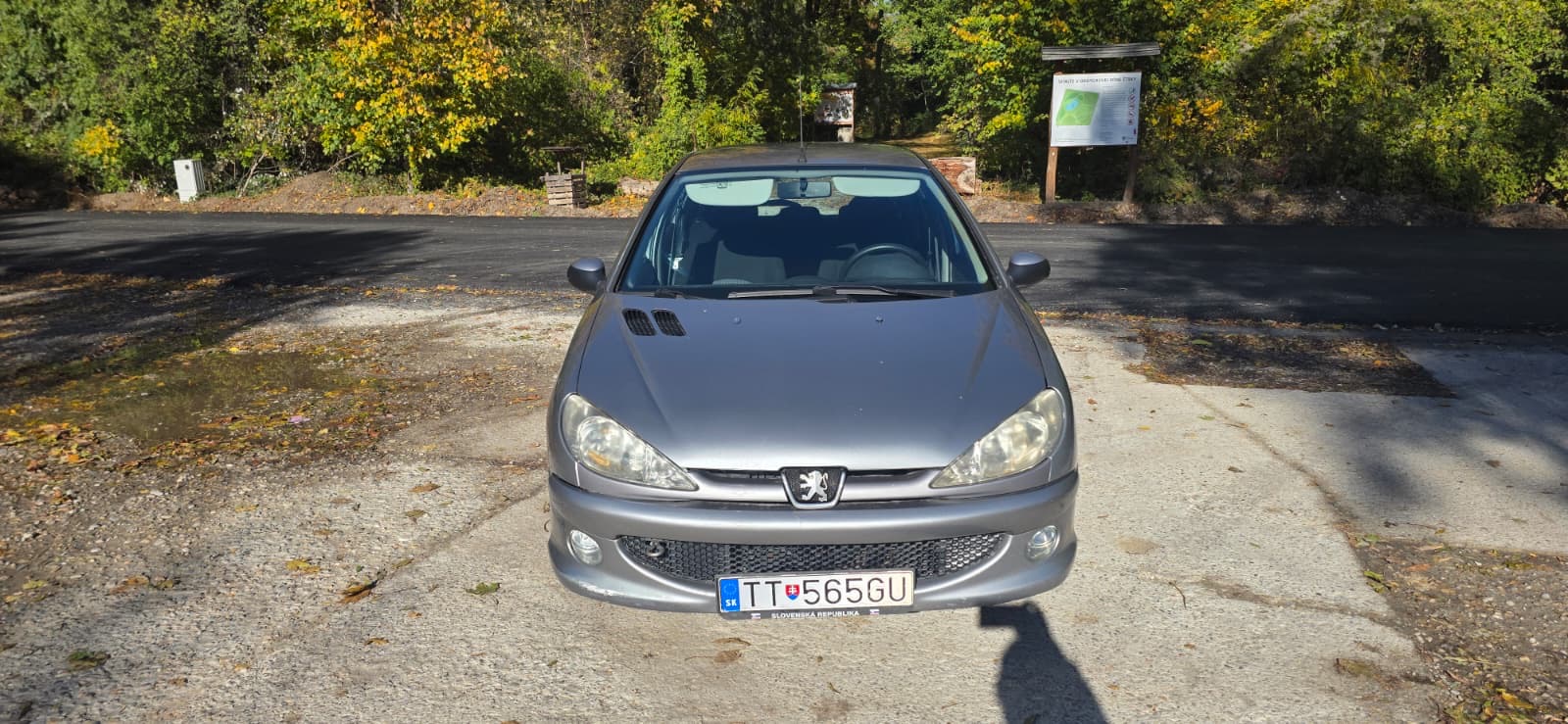 
								Peugeot 206 full									