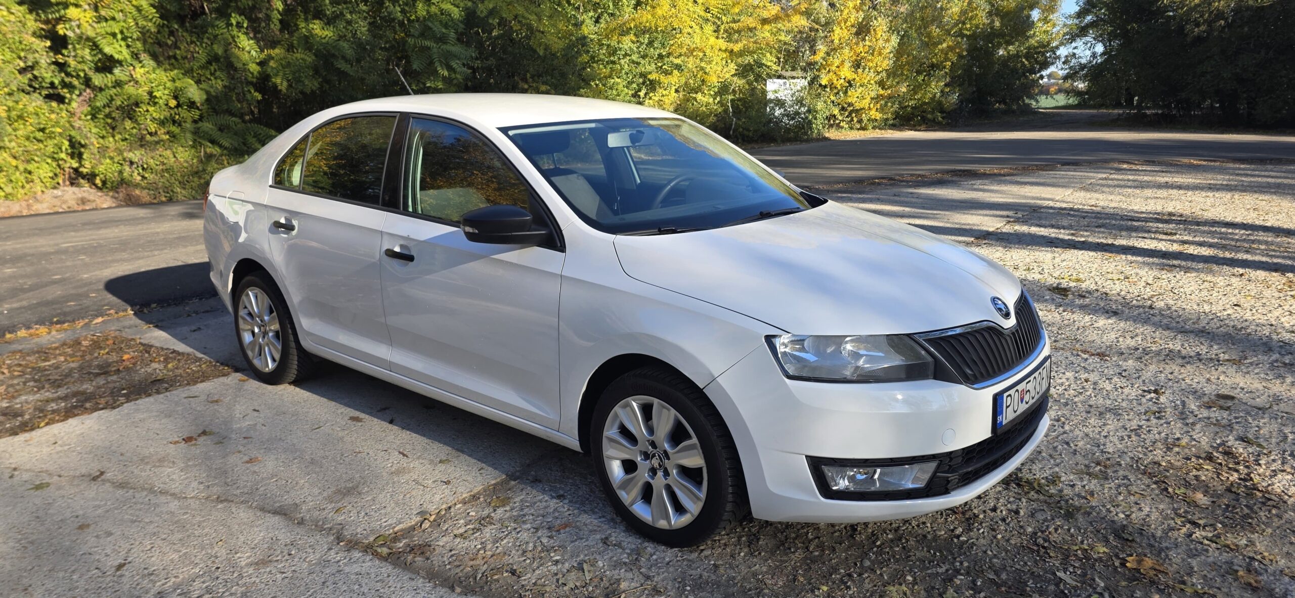 
								Škoda Rapid full									