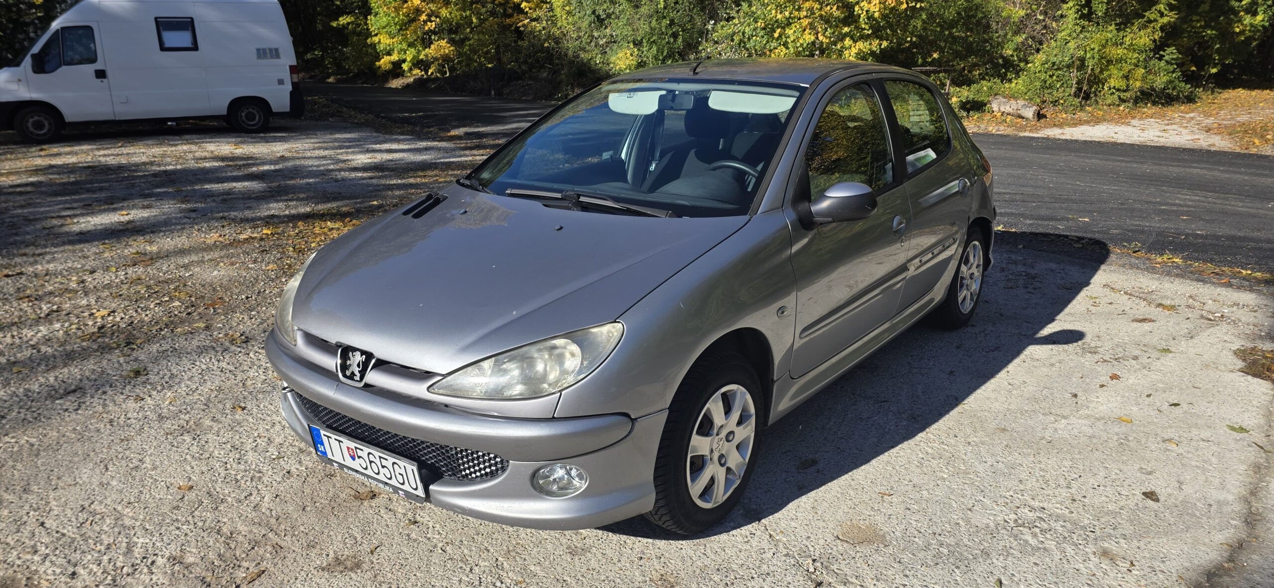 
								Peugeot 206 full									